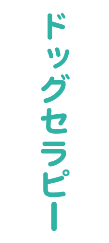 ギャラリー／札幌市中央区の「犬カフェ」