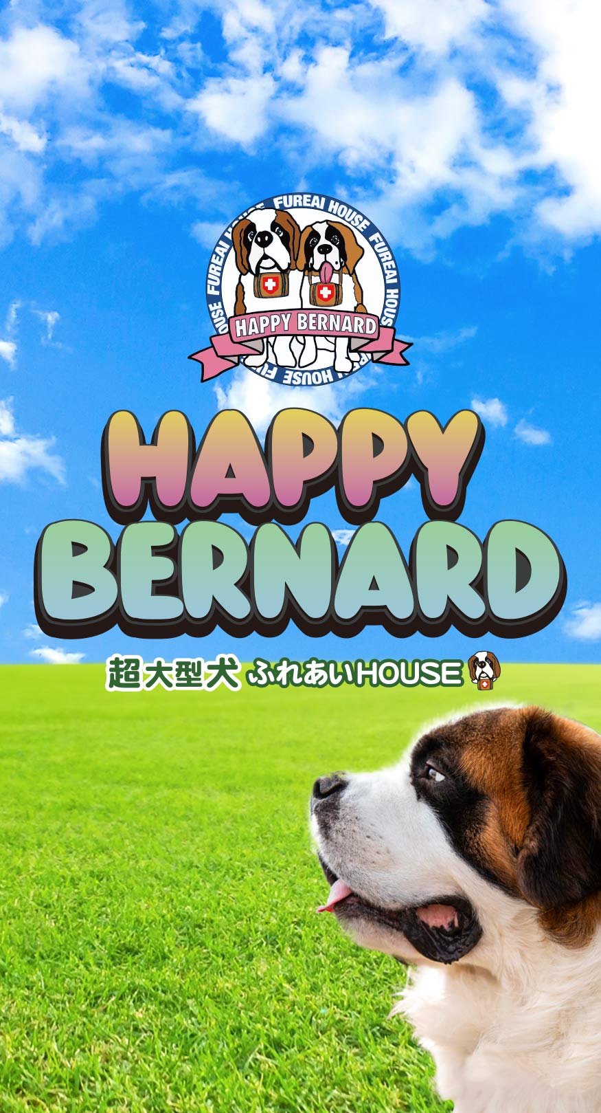 札幌市中央区の「犬カフェ」超大型犬セント・バーナードとふれあえる！ハッピーバーナード